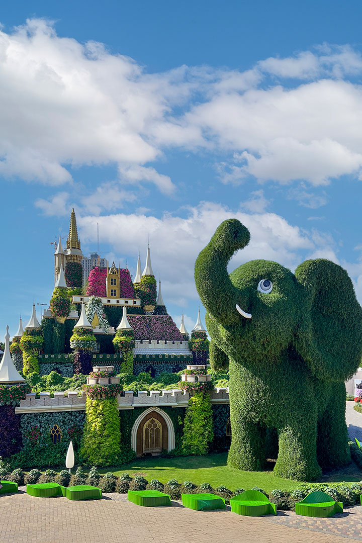 Dubai Miracle Garden